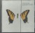b.53 (Copy) (COVER).jpg