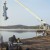 R-31488134-1734195124-4076.jpg