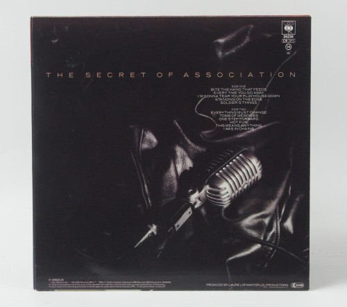 Winyl PAUL YOUNG - "THE SECRET OF ASSOCIATION" 1985 Europe