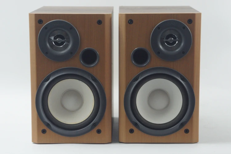 SONY SS-CP300
