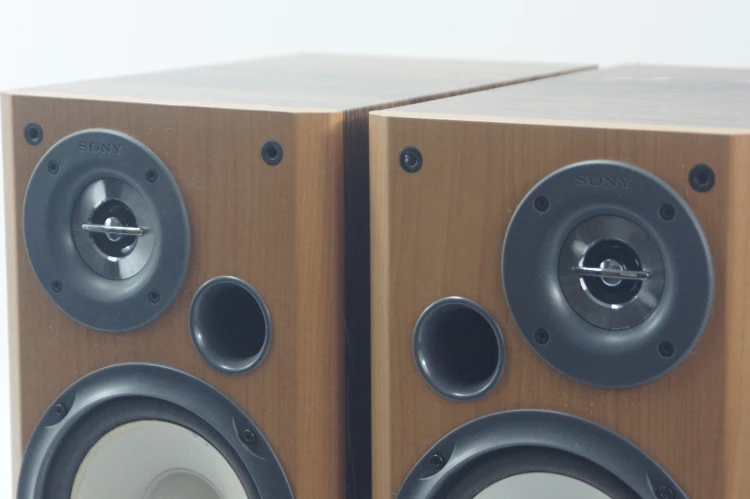 SONY SS-CP300