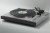 YAMAHA P-220