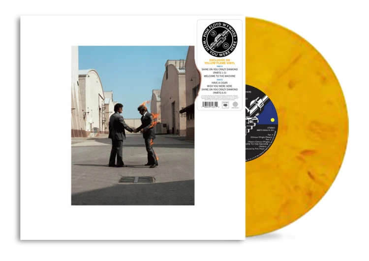 PINK FLOYD - "WISH YOU WERE HERE"